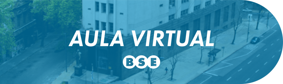 Aula Virtual Del Banco De Seguros Del Estado 7398